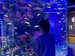 -石家庄极地海洋世界