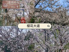 -鸡鸣寺