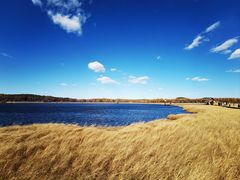 -塞罕坝国家级自然保护区