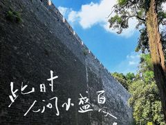 -紫金山山顶公园