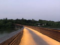 -昆山城市生态森林公园