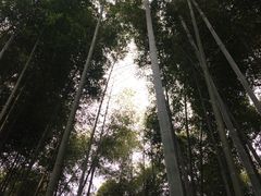 -崇阳三特浪口温泉