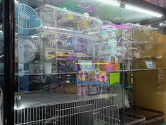 -星际传奇·电玩城·游戏厅·儿童乐园(大悦城店)