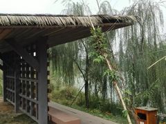 -白鹭湾湿地公园