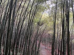 -敬亭山风景名胜区