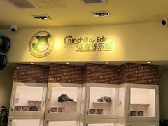 -龙猫仔乐园(惠福东路店)