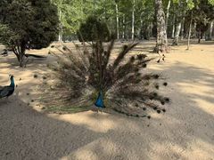 -秦皇岛野生动物园