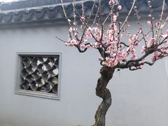 -无锡梅园公园