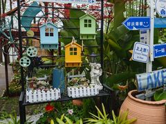 -东平国家森林公园
