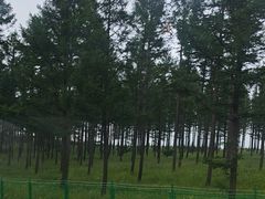 -塞罕坝国家级自然保护区