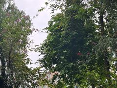 -大妙火锅·非物质文化遗产(东湖公园店)