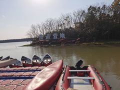 -上海海湾国家森林公园