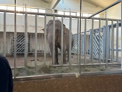 -石家庄市动物园