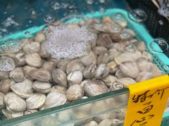 -海大大蒸汽海鲜餐厅·粤菜·特色小炒(欢乐颂店)
