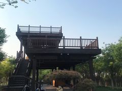 -天津东丽湖风景区