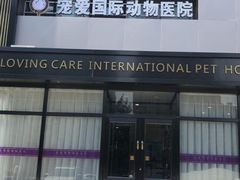 -宠爱国际动物医院· 猫科· 外科·中兽医(长白店)