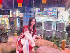 -正佳雨林生态植物园