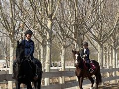 -北京群众马术培训基地