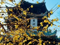 -西安化觉巷清真大寺