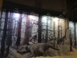 -恐龙探索乐园(磁器口店)