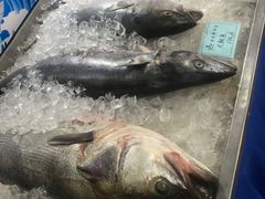 -金海湾海鲜总店