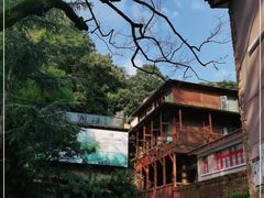 -云涛森林温泉