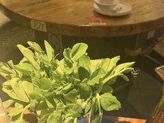 -云尊府云南菜·蒸汽石锅鱼(学清路店)