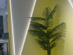 -J-Optical佳视明眼镜·蔡司视觉(青岛金茂览秀城店)