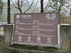 -都江堰中华大熊猫苑