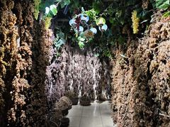 -新疆国际大巴扎