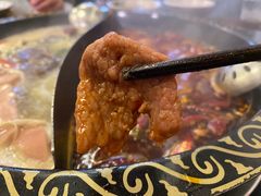 -重庆川渝肥妹火锅