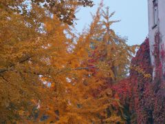 -辽宁大学(崇山校区)