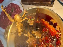 -小龙翻大江文化火锅(宽窄店)