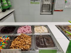 -Salud撒露欧洲冻酸奶(蓝色港湾店)