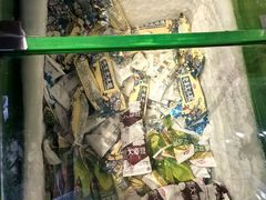 -老五烧烤(盘金华府总店)