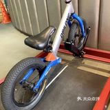 充满活力熊猫运动馆