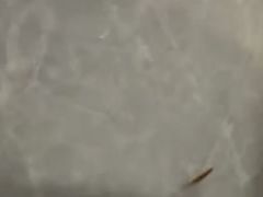 -广州白云机场雅高铂尔曼大酒店