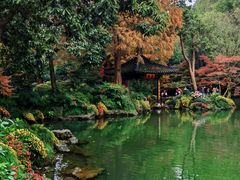 -杭州植物园