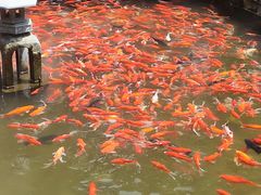 -竹泉村旅游度假区