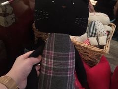 -猫咪博物馆(顶澳仔猫街店)