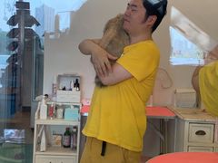 -70cat德文卷毛猫·缅因猫纯种猫舍