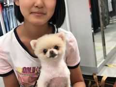 -乌镇那一年小院主题餐厅(甘泉西路店)