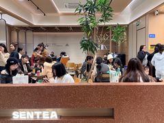 -森茶(湛江万达店)