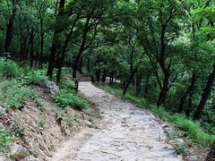 -鹫峰国家森林公园