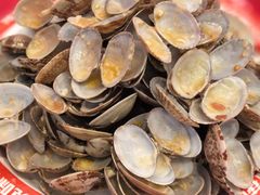 -见味花甲(福田coco park店)