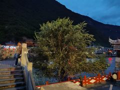 -韩妹鱼庄·泸定老字号(泸定店)