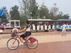 -武清南湖绿博园