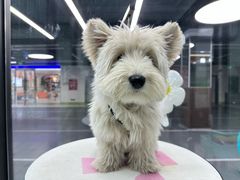 -全心全意动物诊疗中心医院(北苑店)