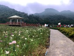 -广州市石门国家森林公园