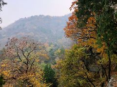 -北京鹫峰国家森林公园